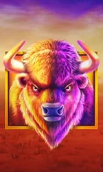 Buffalo King