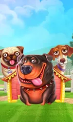The Dog House
